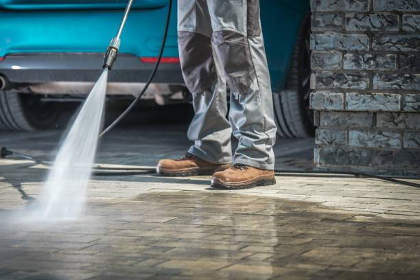 Best Paint Preparation  in Palmyra, WI