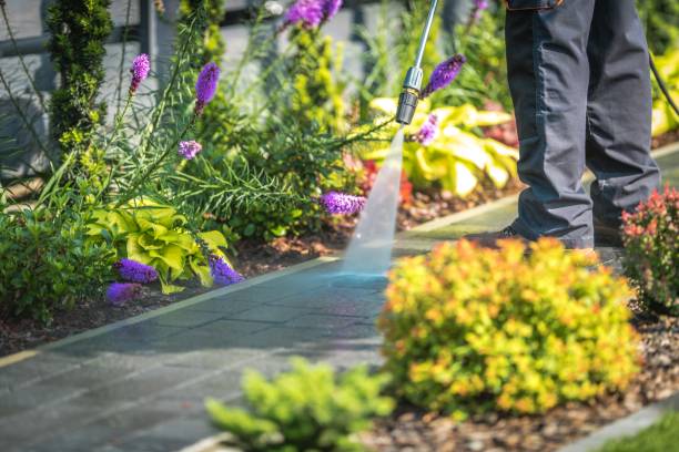 Best Restaurant Pressure Washing  in Palmyra, WI