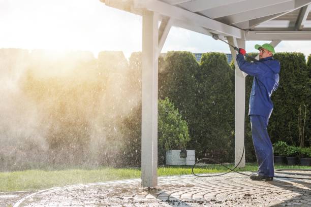 Best Animal Enclosure Cleaning  in Palmyra, WI